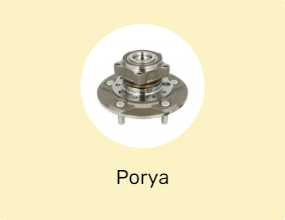 Porya