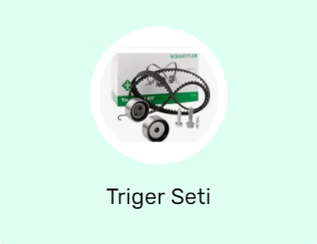 Triger Seti