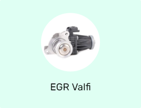 EGR Valfi