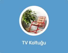 TV Koltuğu
