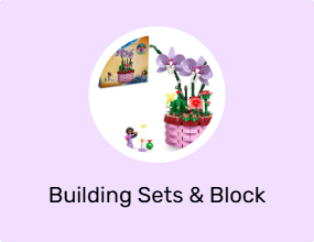 Building Sets & Block Toys