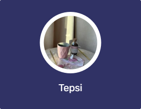 Tepsi