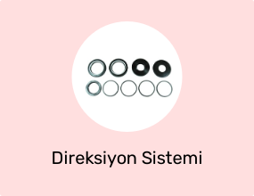 Direksiyon Sistemi