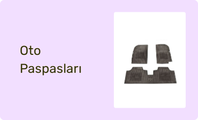 Oto Paspasları