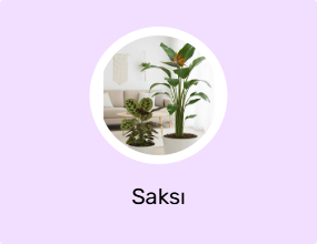 Saksı