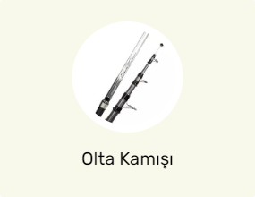Olta Kamışı