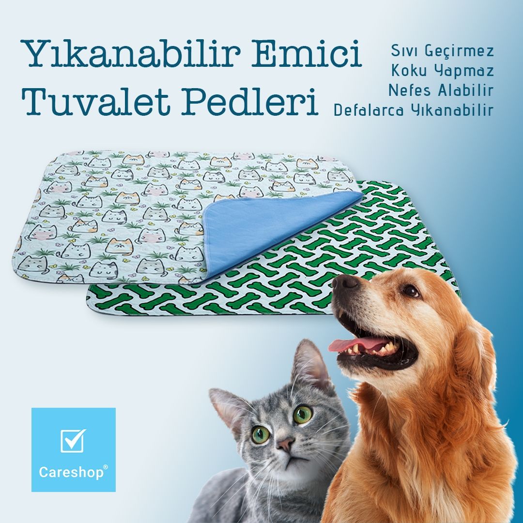 Banner Başlığı