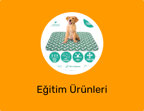 Eğitim Ürünleri