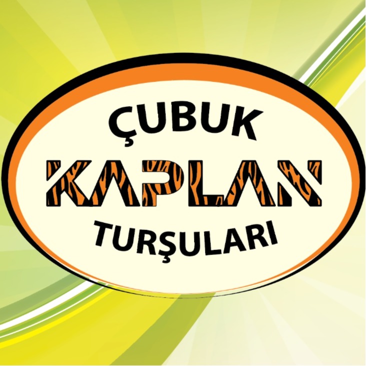 ÇUBUKTURŞUCUSU