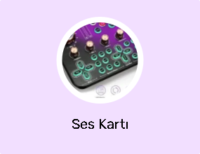 Ses Kartı