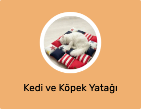 Kedi ve Köpek Yatağı