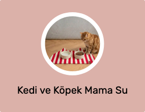 Kedi ve Köpek Mama Su Kabı