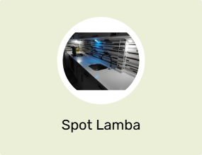 Spot Lamba