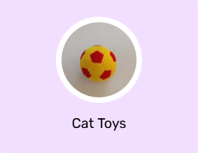 Cat Toys