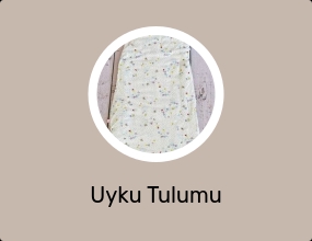 Uyku Tulumu