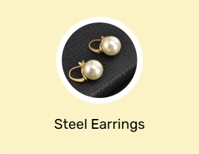 Steel Earrings