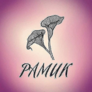PAMUK GİYİM logo