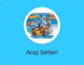 Araç Setleri