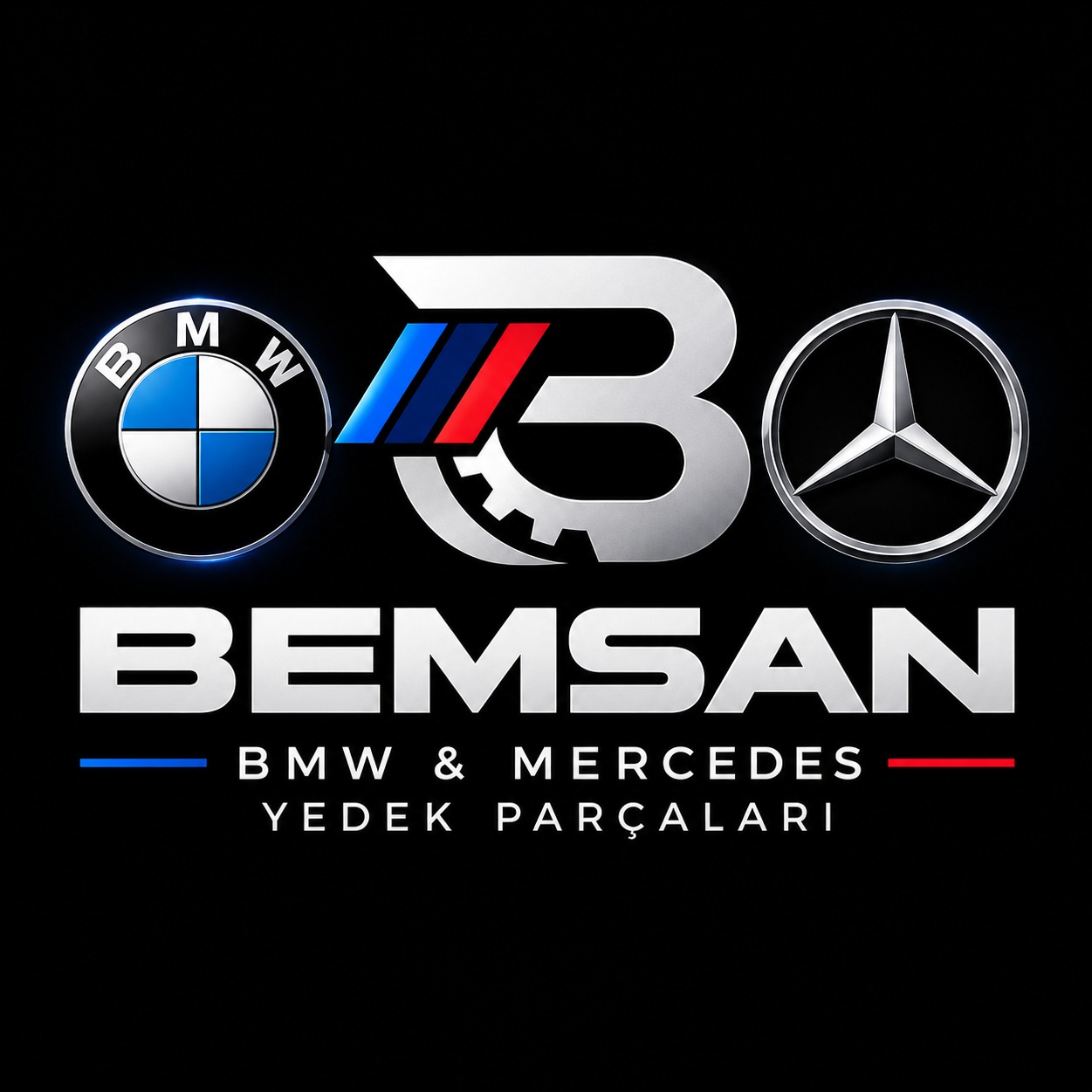 BEMSAN KARTAL