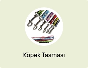 Köpek Tasması