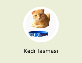 Kedi Tasması