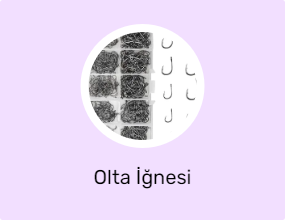 Olta İğnesi