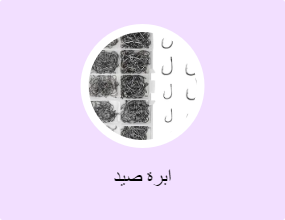 ابرة صيد