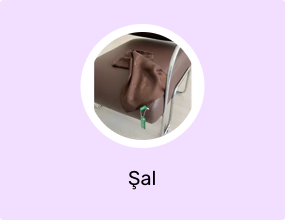 Şal