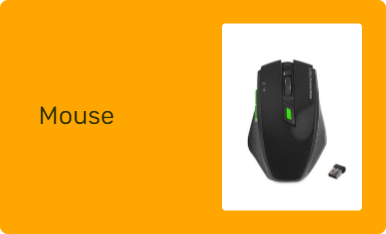 Mouse