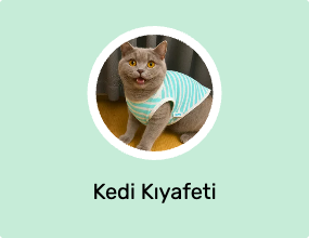 Kedi Kıyafeti