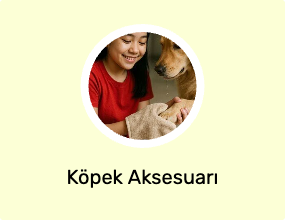 Köpek Aksesuarı