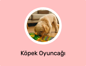 Köpek Oyuncağı