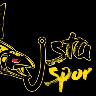 USTASPOR logo