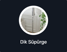 Dik Süpürge