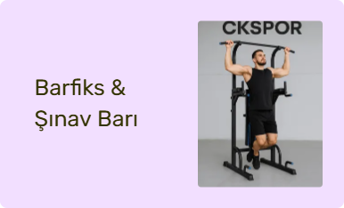 Barfiks & Şınav Barı