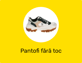 Pantofi fără toc