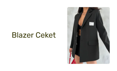 Blazer Ceket
