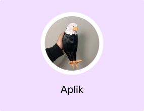 Aplik
