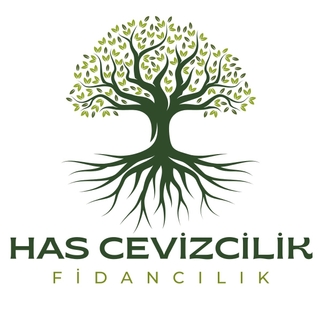 HAS CEVİZCİLİK