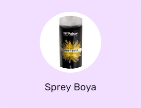 Sprey Boya