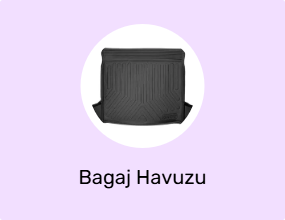 Bagaj Havuzu