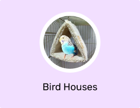 Bird Houses