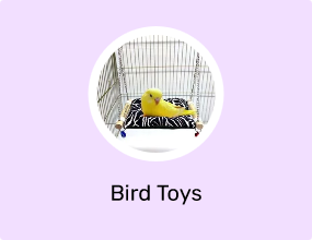 Bird Toys