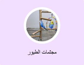 مجثمات الطيور