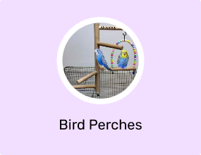 Bird Perches