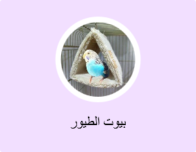 بيوت الطيور
