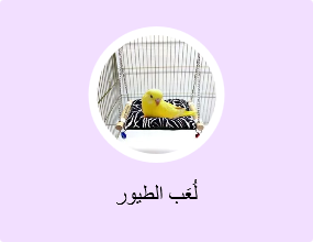 لُعَب الطيور