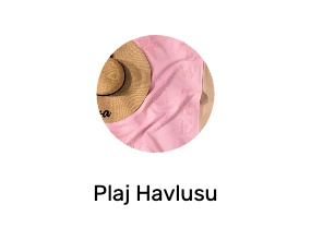 Plaj Havlusu