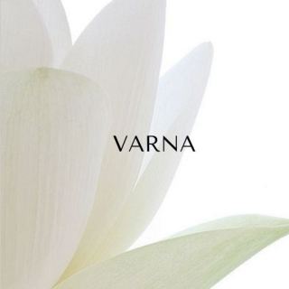 VARNATİCARET