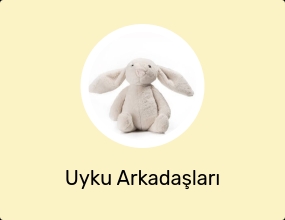 Uyku Arkadaşları